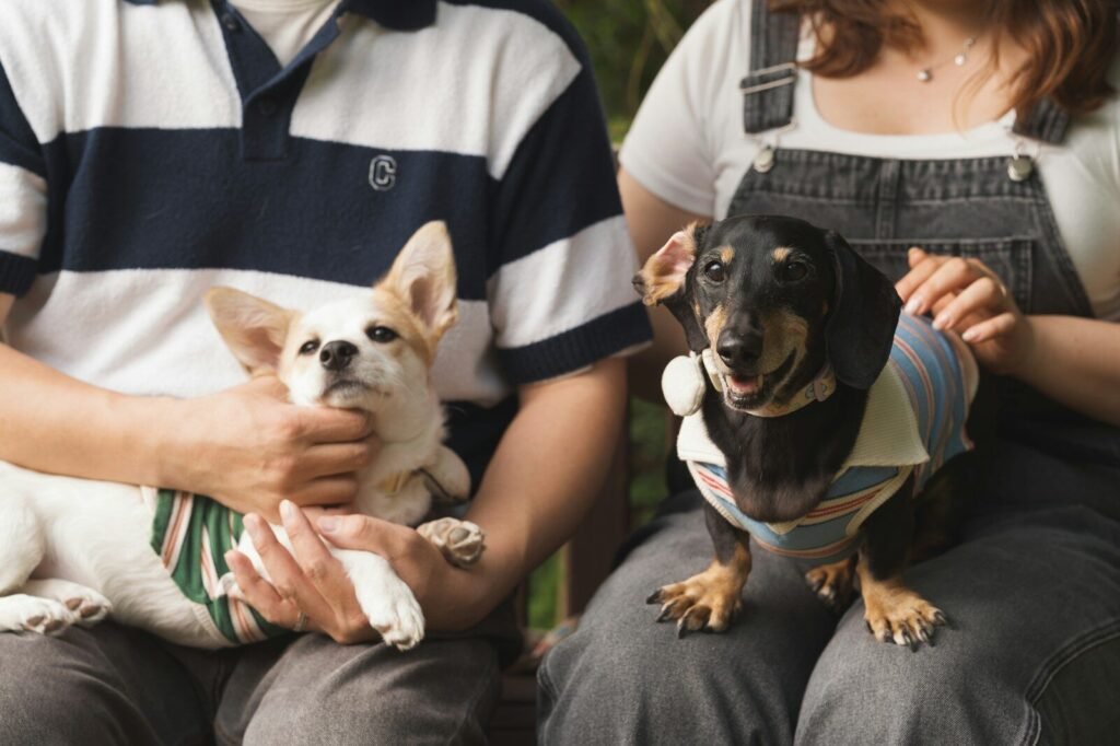 Two small dogs sitting with their owners outdoors.
